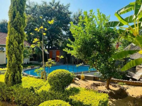 Birdville BNB Guest House